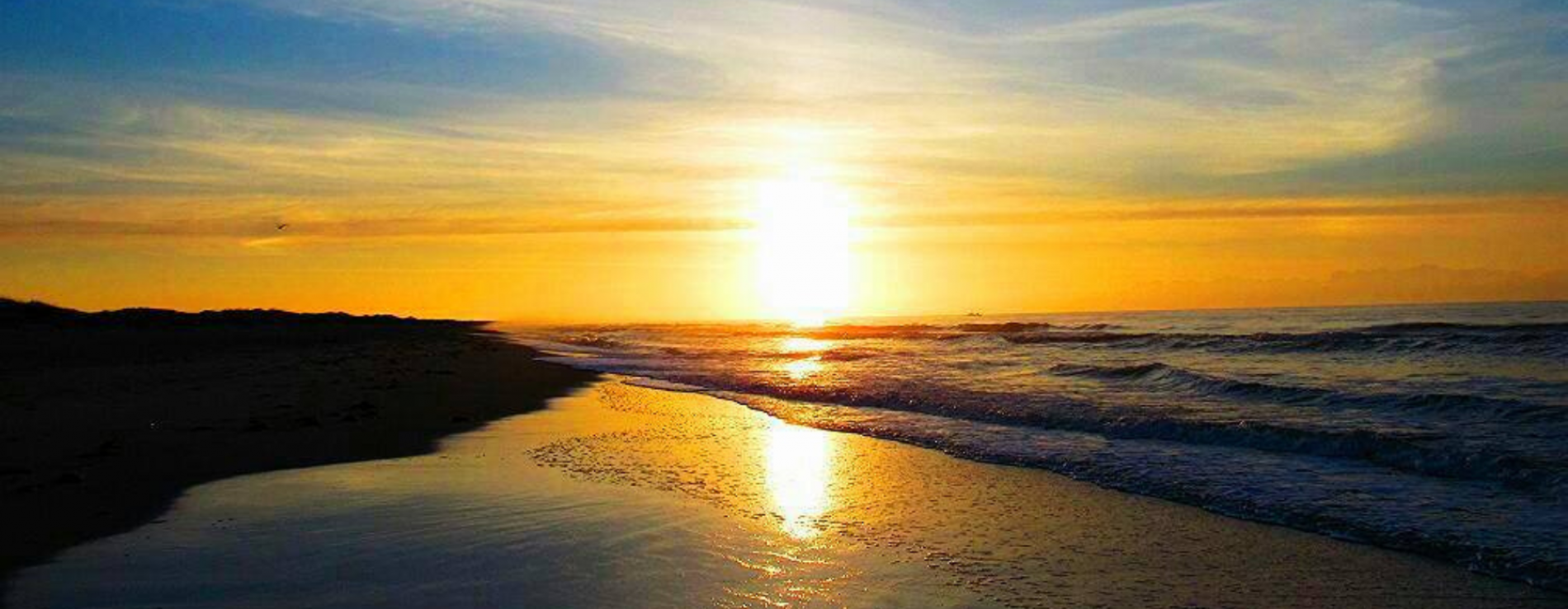 Ocracoke Vacation Rentals Blue Heron Vacations